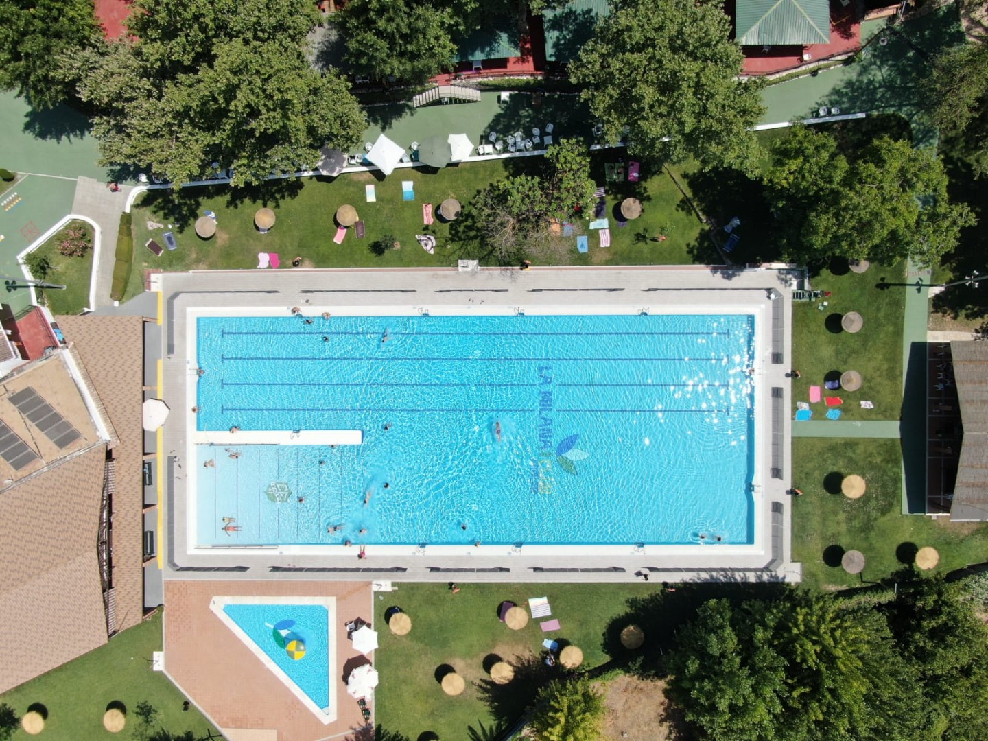 20190800 tomada por rafael rico rodriguez_1.jpeg